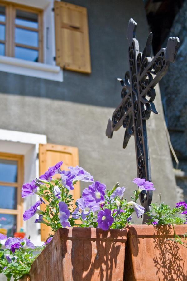 Au Cheval Blanc - Appartements Et Chambres D'Hotes Albertville Exterior photo